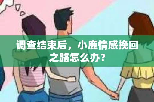 调查结束后，小鹿情感挽回之路怎么办？
