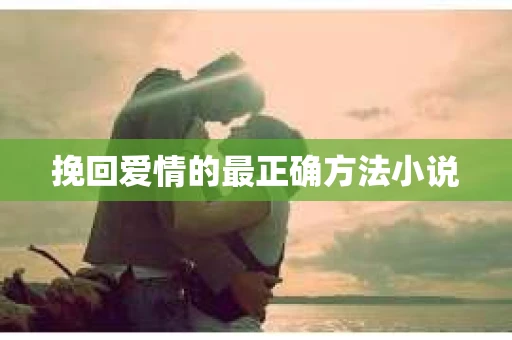 挽回爱情的最正确方法小说