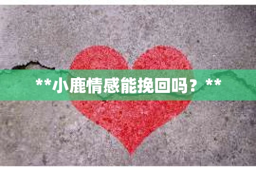 **小鹿情感能挽回吗？**