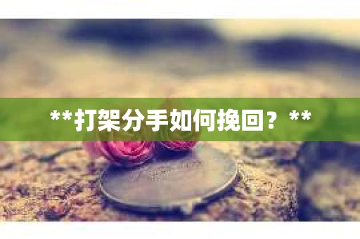 **打架分手如何挽回？**