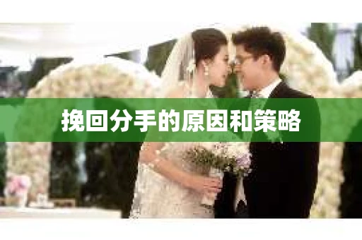 挽回分手的原因和策略