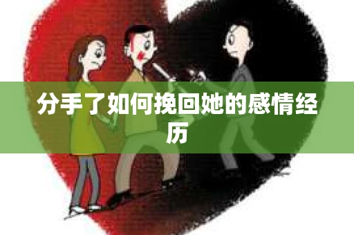 分手了如何挽回她的感情经历