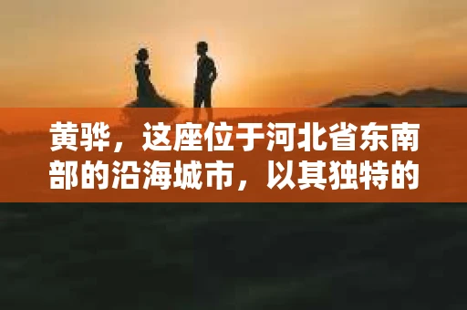 黄骅，这座位于河北省东南部的沿海城市，以其独特的地理位置和丰富的历史文化而闻名。然而，在这座城市中，还有一群人，他们以另一种方式默默守护着社会的公平与正义——私家侦探。今天，我们就来聊聊黄骅的私家侦探，看看他们是如何在这个城市中发挥作用的。