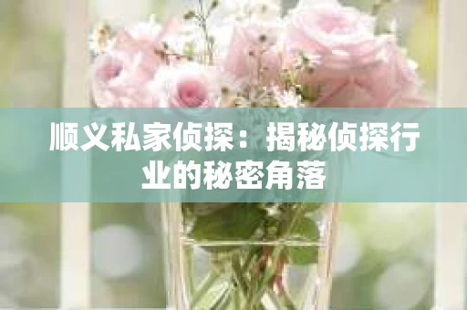 顺义私家侦探：揭秘侦探行业的秘密角落