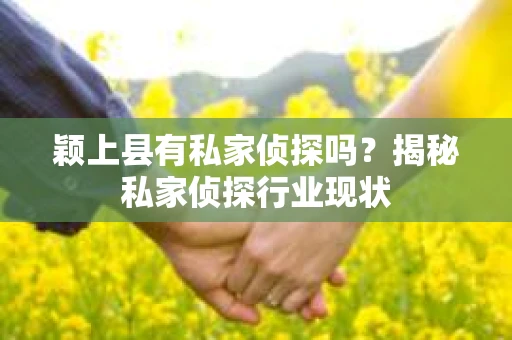 颖上县有私家侦探吗？揭秘私家侦探行业现状