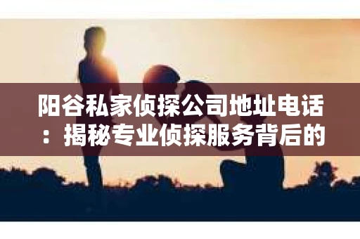 阳谷私家侦探公司地址电话：揭秘专业侦探服务背后的故事