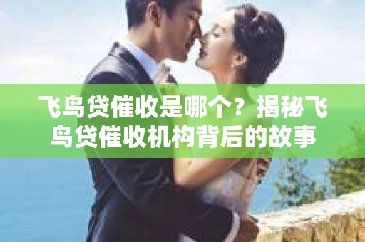 飞鸟贷催收是哪个？揭秘飞鸟贷催收机构背后的故事