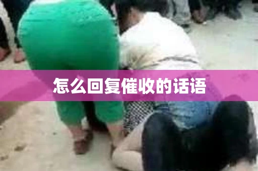 怎么回复催收的话语
