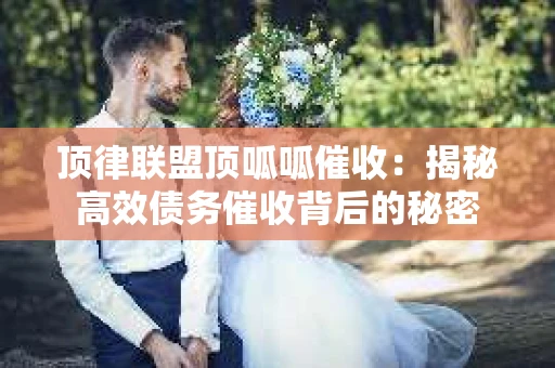 顶律联盟顶呱呱催收：揭秘高效债务催收背后的秘密