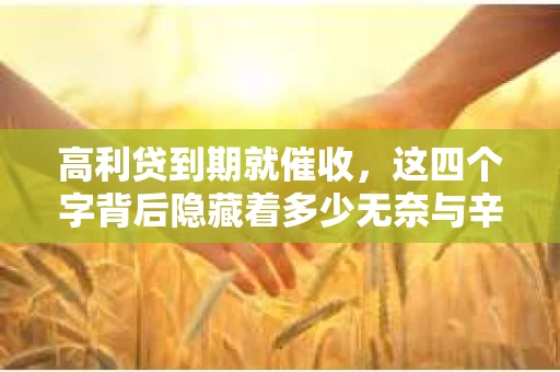 高利贷到期就催收，这四个字背后隐藏着多少无奈与辛酸。在这个充满诱惑与陷阱的金融世界里，我们该如何保护自己，避免陷入高利贷的泥潭？今天，就让我们一起来揭开高利贷到期催收的神秘面纱。
