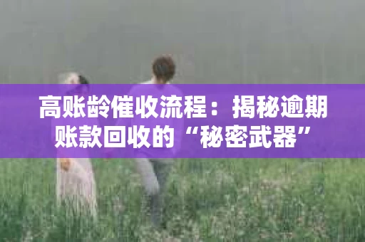 高账龄催收流程：揭秘逾期账款回收的“秘密武器”
