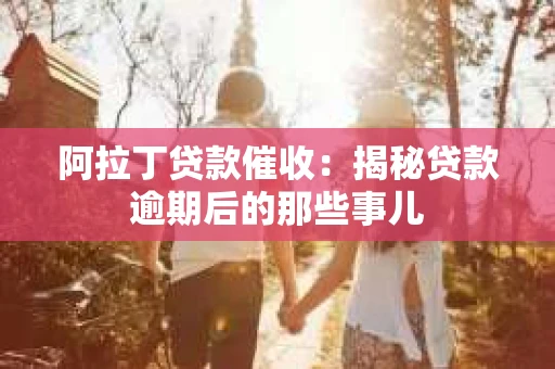 阿拉丁贷款催收：揭秘贷款逾期后的那些事儿