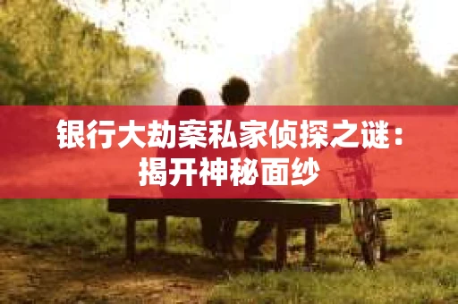 银行大劫案私家侦探之谜：揭开神秘面纱
