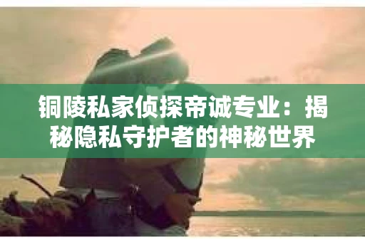 铜陵私家侦探帝诚专业：揭秘隐私守护者的神秘世界