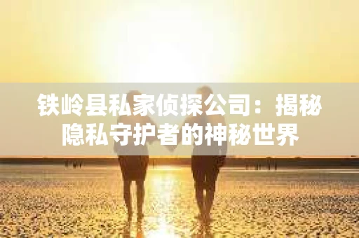 铁岭县私家侦探公司：揭秘隐私守护者的神秘世界