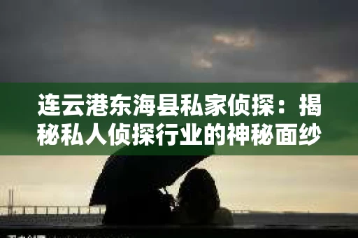 连云港东海县私家侦探：揭秘私人侦探行业的神秘面纱