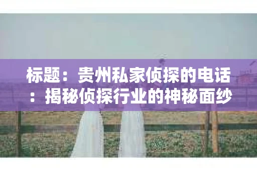 标题：贵州私家侦探的电话：揭秘侦探行业的神秘面纱