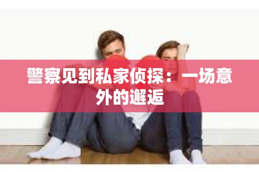 警察见到私家侦探：一场意外的邂逅