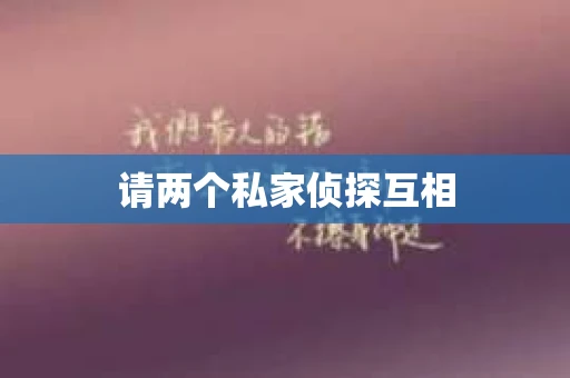 请两个私家侦探互相