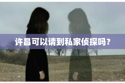 许昌可以请到私家侦探吗？