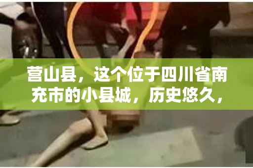营山县，这个位于四川省南充市的小县城，历史悠久，风景秀丽。但在这个宁静的小县城里，你是否会好奇，有没有私家侦探的存在呢？今天，我就来和大家聊聊这个话题。