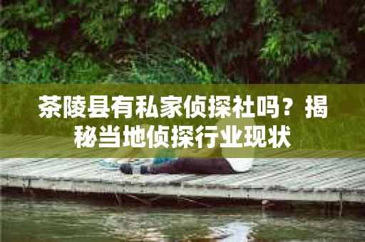茶陵县有私家侦探社吗？揭秘当地侦探行业现状