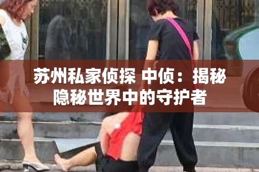 苏州私家侦探 中侦：揭秘隐秘世界中的守护者