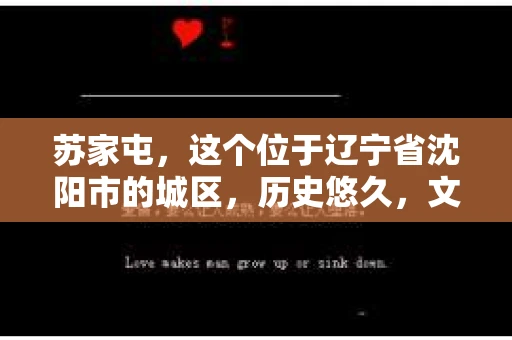 苏家屯，这个位于辽宁省沈阳市的城区，历史悠久，文化底蕴深厚。近年来，随着社会的发展，人们对于私家侦探的需求也逐渐增加。那么，苏家屯有私家侦探吗？今天，我们就来聊聊这个话题。