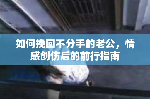 如何挽回不分手的老公，情感创伤后的前行指南