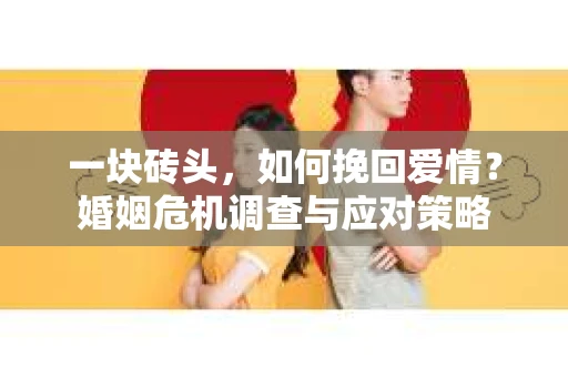 一块砖头，如何挽回爱情？婚姻危机调查与应对策略