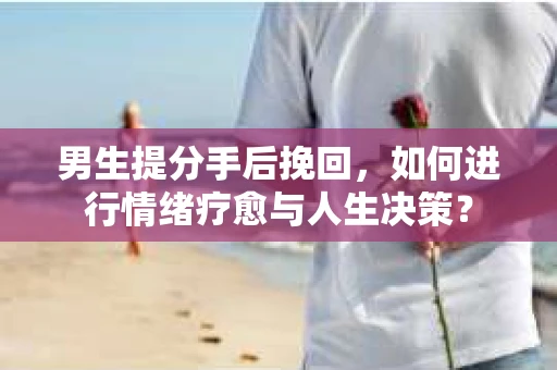 男生提分手后挽回，如何进行情绪疗愈与人生决策？