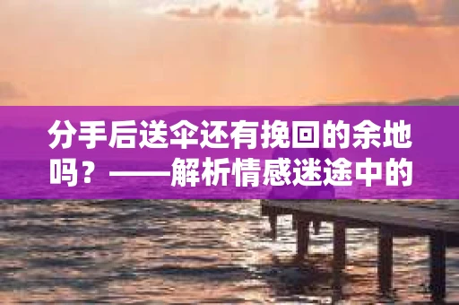 分手后送伞还有挽回的余地吗？——解析情感迷途中的决策