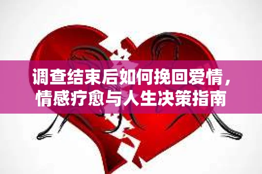 调查结束后如何挽回爱情，情感疗愈与人生决策指南
