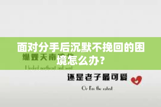 面对分手后沉默不挽回的困境怎么办？