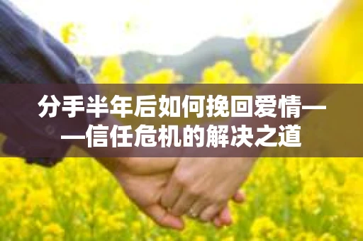 分手半年后如何挽回爱情——信任危机的解决之道